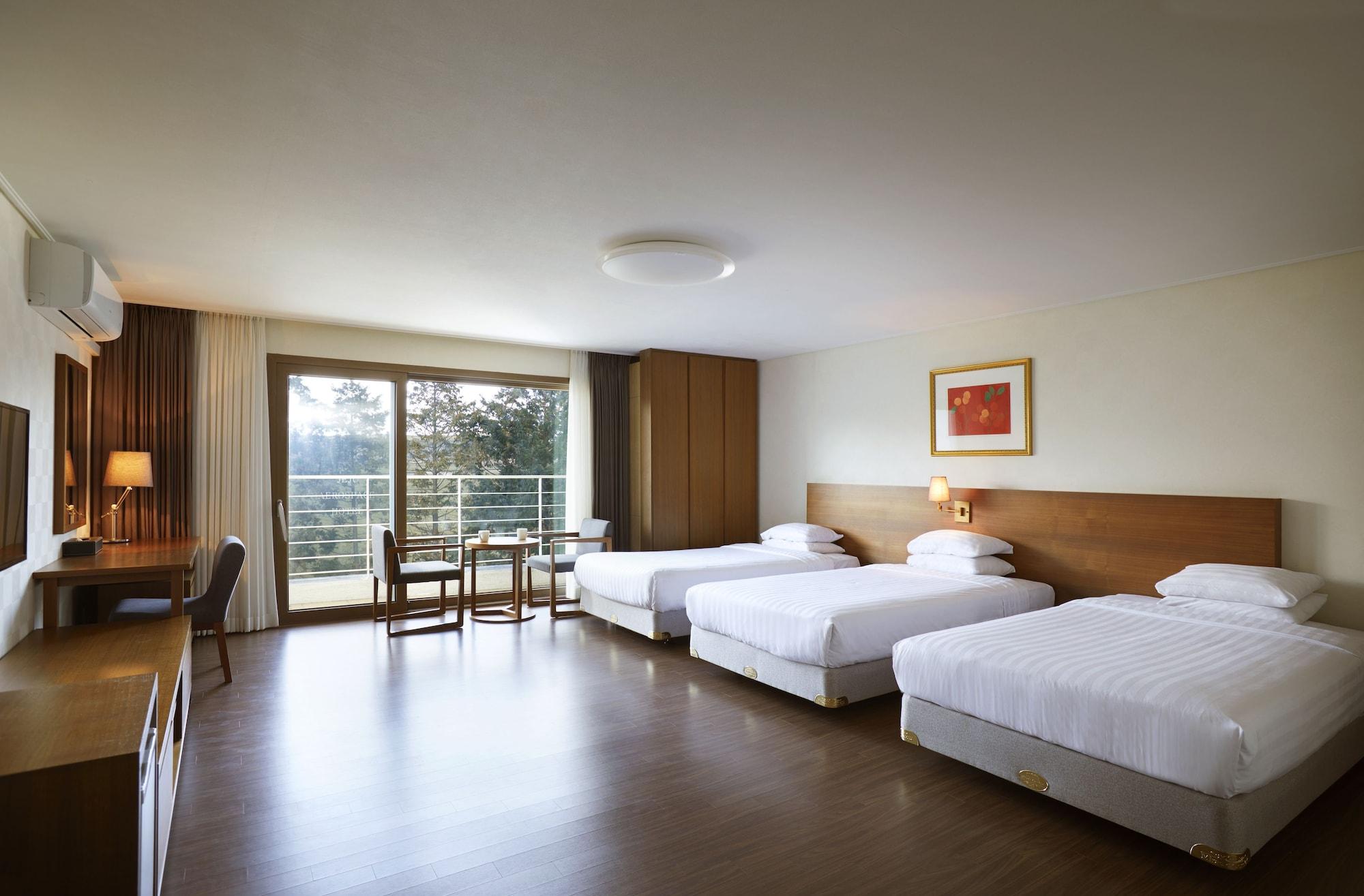 Jeju Aerospace Hotel Seogwipo Luaran gambar