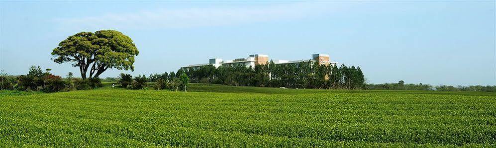 Jeju Aerospace Hotel Seogwipo Luaran gambar